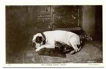 A picture of a bulldog that is sleeping on a pillow with a cat on the floor.