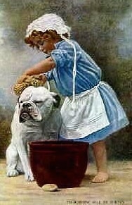 A colored drawing of a Bulldog getting a bath from a little girl.