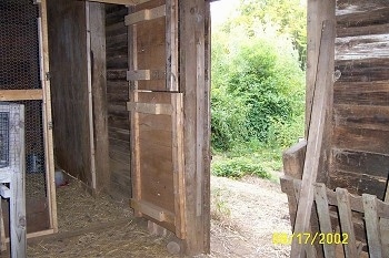 View from inside the barn. The coop door is open and the barn door is open