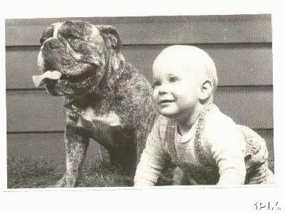A picture of a brindle Bulldog that is sitting next to a toddler, in front of a house.