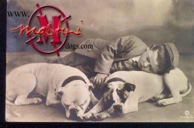 A picture of a Boy sleeping with two bulldogs.