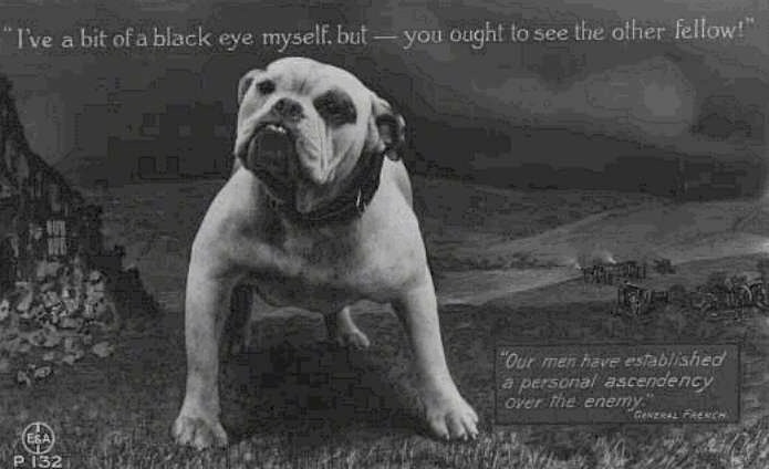 A picture of a Bulldog that has its head tilted to the right and Overlaid on the picture are the words, 'Eye the Bulldog in a field. 'I've a bit of a black eye. but- you ought to see the other fellow!' 'Our men have established a personal ascendency over the enemy. - General French'