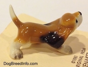 The right side of a tan with black and white ceramic Basset Hound figurine that is looking up. The ears of the figurine are attached to the body.