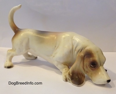 The right side of a white with brown and black porcelain Basset Hound figurine that is sniffing. The eyes of the figurine are very detailed.