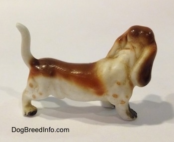 The right side of a brown and white porcelain Basset Hound figurine. The figurines ear are very detailed.