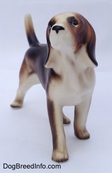 The front right side of a black, brown and white porcelain Beagle Harrier figurine in a standing pose. The figurine has no mouth details.