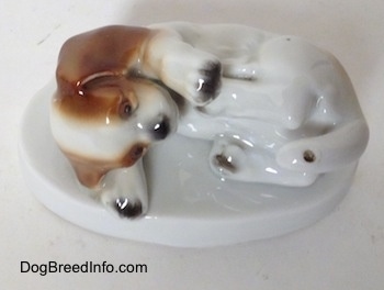Topdown view of a white with brown and black Beagle puppy figurine.