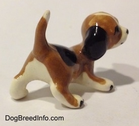 The back right side of a brown, black and white miniature Beagle in a crouching pose.