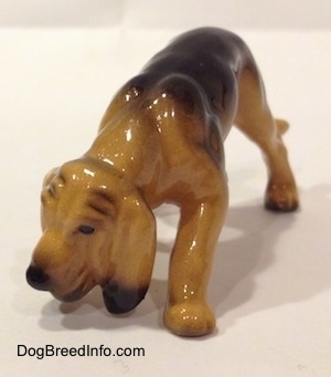 The front left side of a brown and black Hagen Renaker Miniature Bloodhound figurine. The figurine has a very detailed face and long front legs. The dog is sniffing the ground.