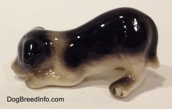 The left side of a Hagen-Renaker miniature black with white Border Collie puppy figurine.