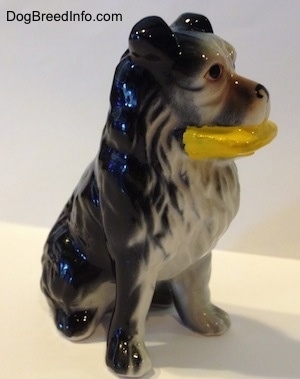 The front right side of a Vintage bone China black with white Border Collie figurine. The figurine has very fine paw details.