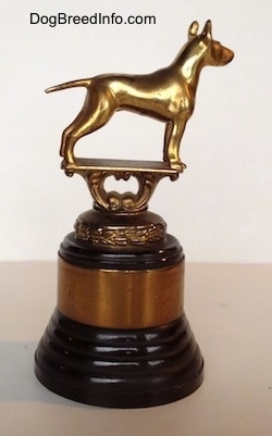 The right side of a Bull Terrier Club trophy that has a golden Bull Terrier statue at the top.