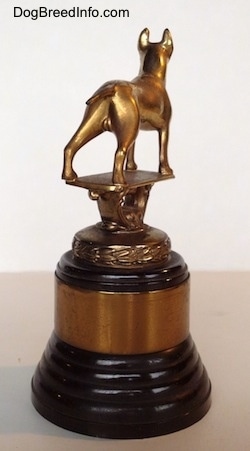 The back right side of a Bull Terrier Club trophy that has a golden Bull Terrier statue at the top.