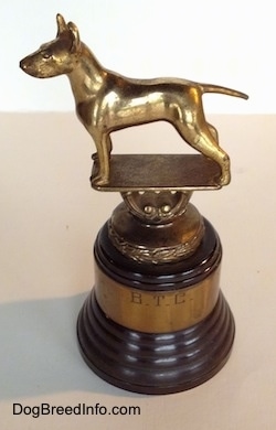 Topdown view of a golden Bull Terrier staute that is at the top of a Bull Terrier Club trophy.