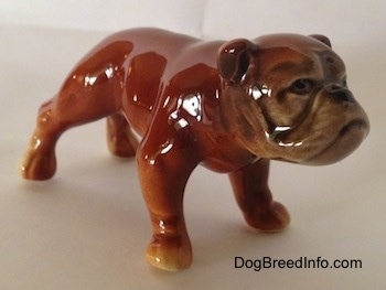 The front right side of a brown Bulldog figurine. The figurine has a detailed face.