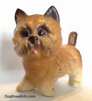 The front left side of a tan with black Cairn Terrier dog figurine that has a cartoony face. The figurine is painted to look like its tongue is sticking out. It has wide round blak eyes and small black perk ears. It has a black nose and a big head.
