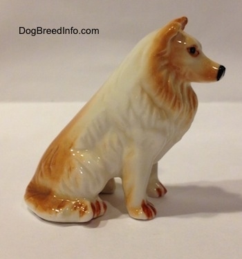 The right side of a bone china figurine that is a tan and white Rough Collie. The figurine has hair details on the side.