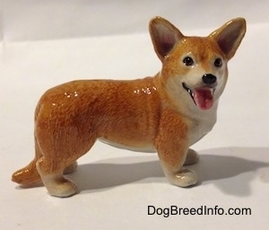 The right side of a brown with white porcelain Cardigan Welsh Corgi in a standing pose figurine. The figurine is painted to look like it is panting.