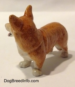 The front left side of a porcelain figurine that is a brown with white Cardigan Welsh Corgi in a standing pose. The figurine has fine hair details.