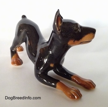 The front right side of a black and tan Doberman Pinscher in a play bow pose figurine. The figurine has long legs and large paws.