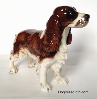 The front right side of a brown and white with black English Springer Spaniel in a standing pose. The ears of the figurines are large, brown and they look hairy.