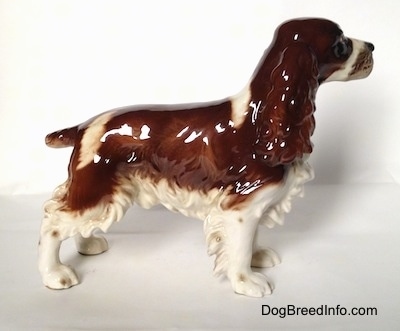 The right side of a brown and white figurine of an English Springer Spaniel in a standing pose. The figurine has a short brown tail that is elevated and level with its body.