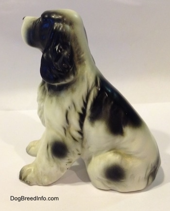 The left side of a bone china black and white English Springer Spaniel in a sitting pose figurine. The figurine has a large black spot on its back.