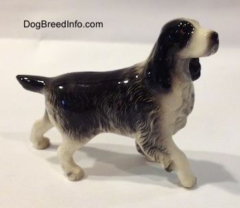 The right side of a black with white English Springer Spaniel figurine. The figurine has long legs and small paws.