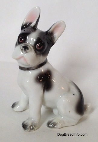 The left side of a white and black French Bulldog figurine in a sitting pose. The figurine has large black ears that are standing up.