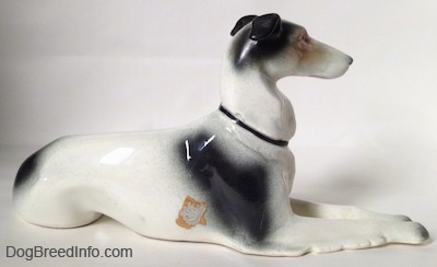 The right side of a figurine of a white with black and tan Greyhound in a lying down pose. The figurine has a sticker towards its front right leg.