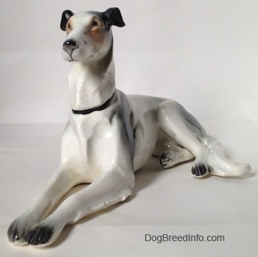 The front left side of a white with black and tan figurine of a Greyhound in a lying pose. The figurine has long legs with small white paws and black nails.