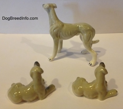 Vintage miniature bone China adult Greyhound with two puppies dog figurine family trio. Back view.