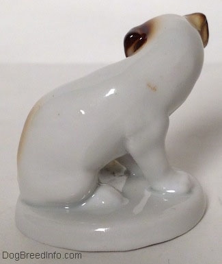 The right side of a brown and white Jack Russell Terrier figurine on a round base and there is a large fly on its side.