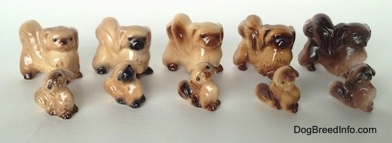 In front of five different color variations of Pekingese dogs are five different color variations of of Pekingese puppy seated figurine.