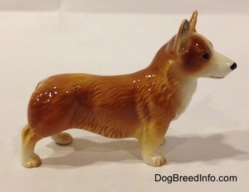 The right side of a brown with white Pembroke Welsh Corgi porcelain figurine. Thefigurine has white paws.