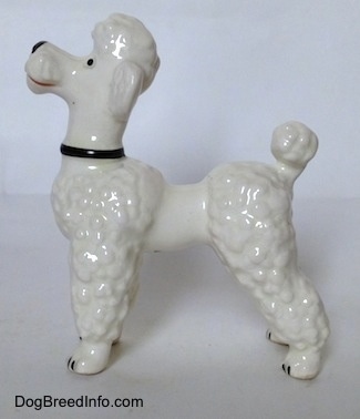The left side of a white Poodle figurine that is wearing a black collar.