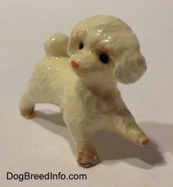 The front right side of a figurine of a white with brown walking Toy Poodle. The figurine has a pink nose and brown paws.